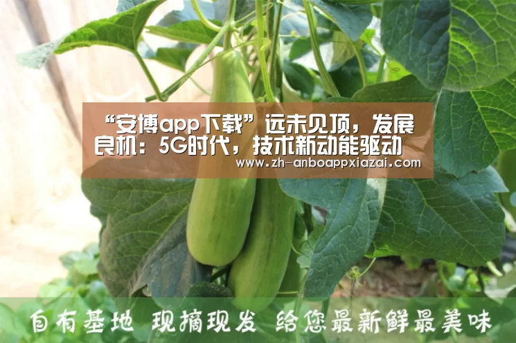 “安博app下载”远未见顶,发展良机:5G时代,技术新动能驱动城市智能升级(图2) 安博app下载