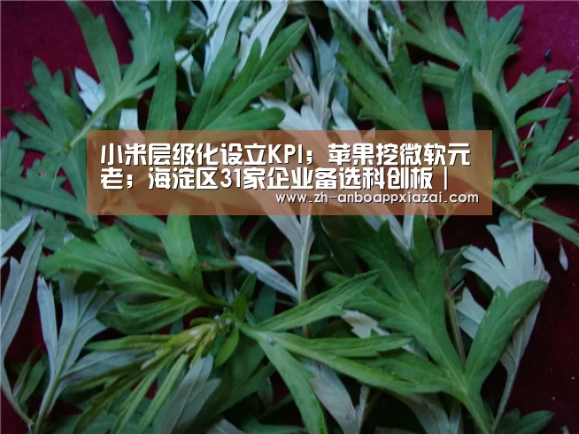 小米层级化设立KPI;苹果挖微软元老;海淀区31家企业备选科创板|雷锋早报【安博app下载】(图2) 安博app下载