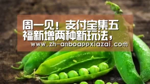 周一见!支付宝集五福新增两种新玩法,花花卡升级为全家福卡:安博app下载(图2) 安博app下载