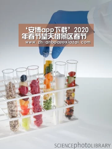 ‘安博app下载’2020年春节望天树景区春节活动(图3) 安博app下载
