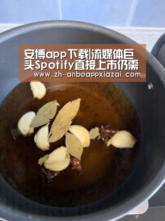 安博app下载|流媒体巨头Spotify直接上市仍需多方面证明自己的商业模式(图2) 安博app下载
