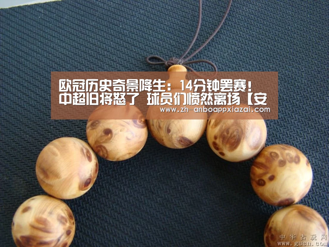 欧冠历史奇景降生:14分钟罢赛!中超旧将怒了 球员们愤然离场【安博app下载】(图1) 安博app下载
