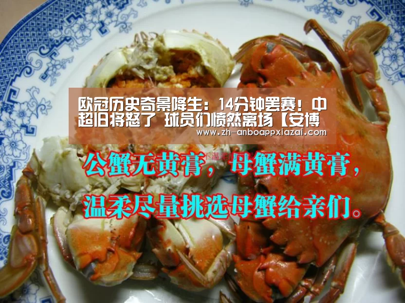 欧冠历史奇景降生:14分钟罢赛!中超旧将怒了 球员们愤然离场【安博app下载】(图2) 安博app下载