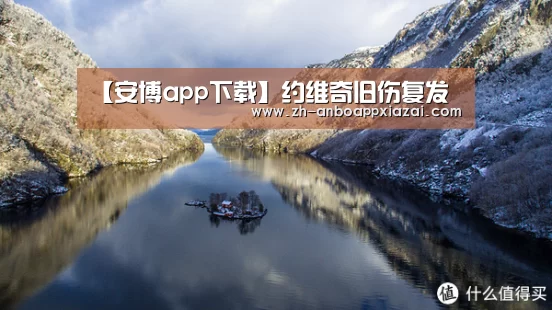 【安博app下载】约维奇旧伤复发(图1) 安博app下载