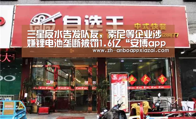 三星反水告发队友,索尼等企业涉嫌锂电池垄断被罚1.6亿“安博app下载”(图2) 安博app下载