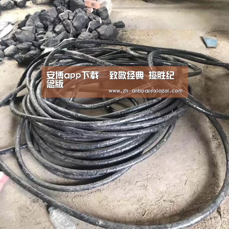 安博app下载-
致敬经典 揽胜纪念版(图1) 安博app下载
