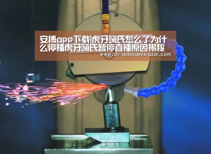 安博app下载|虎牙嗨氏怎么了为什么停播虎牙嗨氏暂停直播原因揭秘(图2) 安博app下载